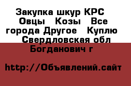 Закупка шкур КРС , Овцы , Козы - Все города Другое » Куплю   . Свердловская обл.,Богданович г.